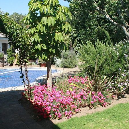 Clouds Guest House Durbanville Εξωτερικό φωτογραφία