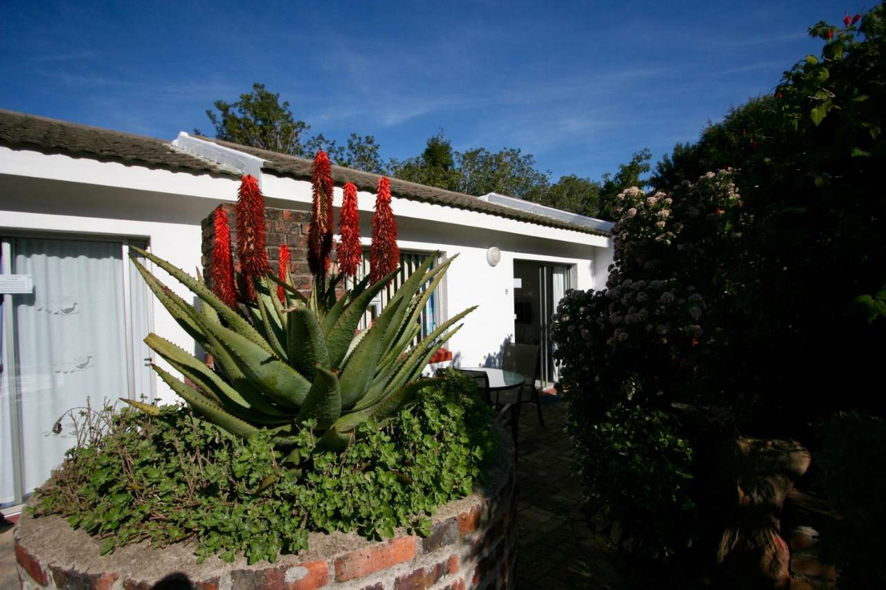 Clouds Guest House Durbanville Εξωτερικό φωτογραφία